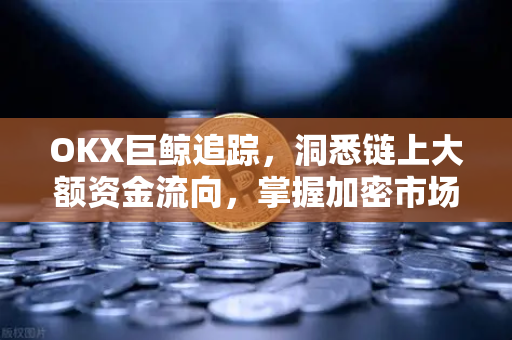 OKX巨鲸追踪,洞悉链上大额资金流向,掌握加密市场先机-第1张图片-欧易下载官网 - OKX官方交易所 | 交易及投资服务 OKX巨鲸追踪,洞悉链上大额资金流向,掌握加密市场先机-第1张图片-欧易下载官网 - OKX官方交易所 | 交易及投资服务