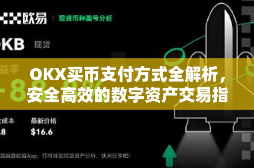 OKX买币支付方式全解析，安全高效的数字资产交易指南