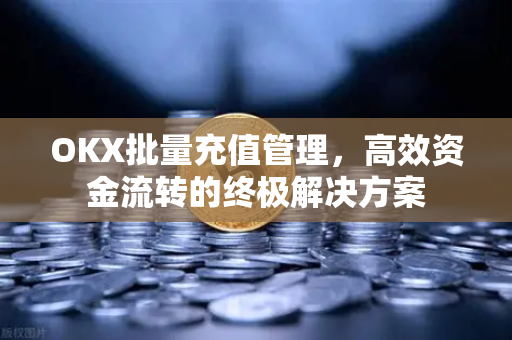 OKX批量充值管理,高效资金流转的终极解决方案-第1张图片-欧易下载官网 - OKX官方交易所 | 交易及投资服务 OKX批量充值管理,高效资金流转的终极解决方案-第1张图片-欧易下载官网 - OKX官方交易所 | 交易及投资服务