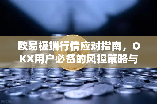 欧易极端行情应对指南，OKX用户必备的风控策略与实操解析-第1张图片-欧易下载官网 - OKX官方交易所 | 交易及投资服务