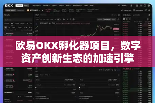 欧易OKX孵化器项目，数字资产创新生态的加速引擎