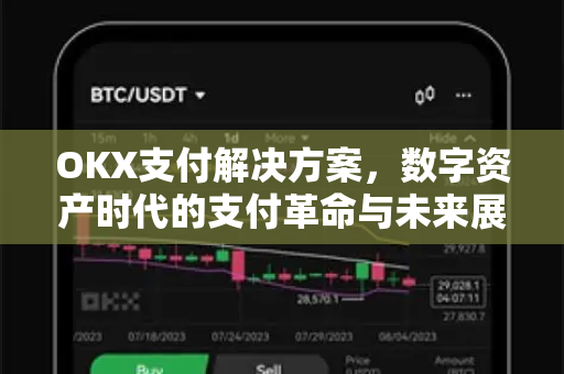 OKX支付解决方案，数字资产时代的支付革命与未来展望