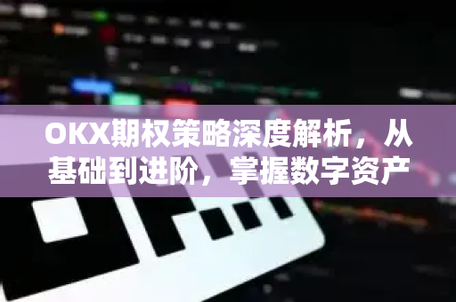 OKX期权策略深度解析，从基础到进阶，掌握数字资产期权交易的核心技巧