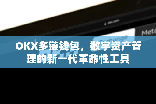 OKX多链钱包，数字资产管理的新一代革命性工具