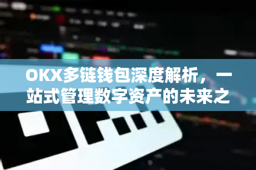 OKX多链钱包深度解析，一站式管理数字资产的未来之选